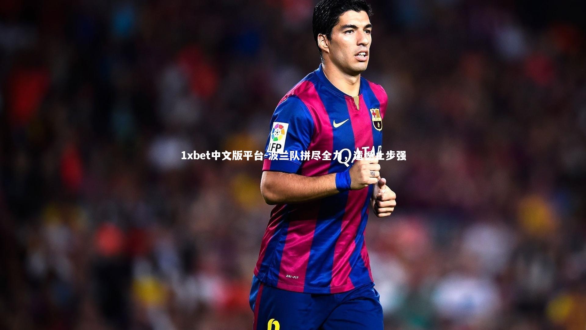 波兰队拼尽全力，遗憾止步强