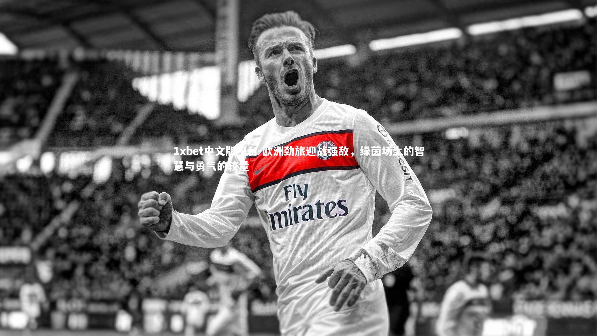 欧洲劲旅迎战强敌，绿茵场上的智慧与勇气的较量